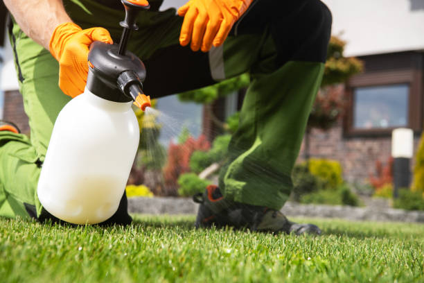 Best Commercial Pest Control Services  in Mission, KS
