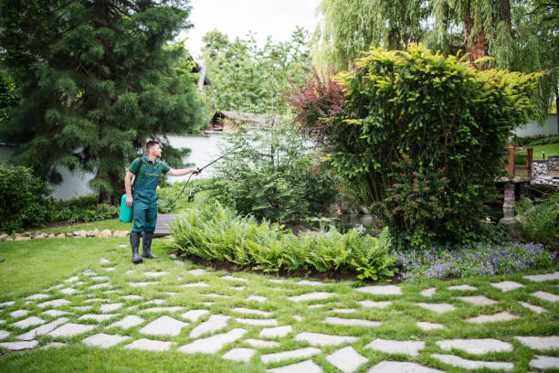 Best Best Pest Control Companies  in Mission, KS