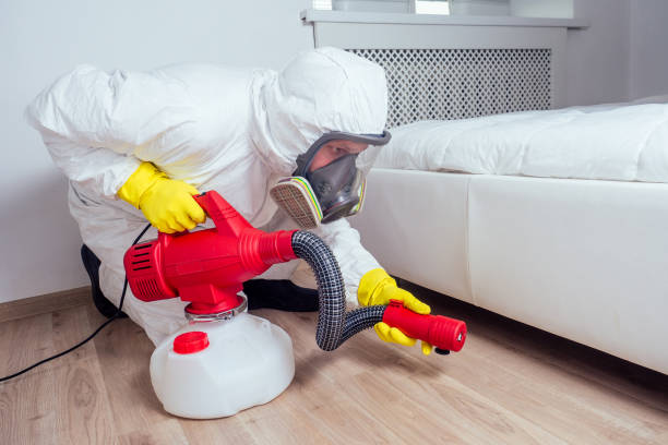 Best Termite Control Services  in Mission, KS
