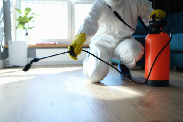 Best Flea Control Services  in Mission, KS