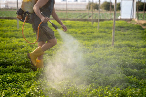 Best Pest Prevention Services  in Mission, KS