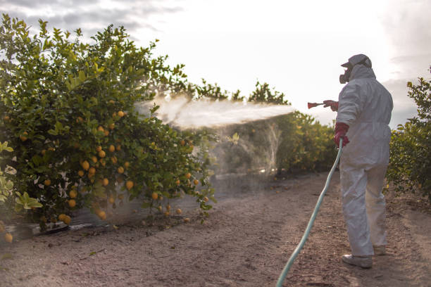 Best Bed Bug Extermination  in Mission, KS
