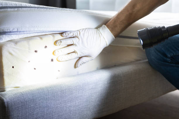 Best Exterminator Services  in Mission, KS
