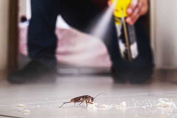 Reliable Mission, KS Pest Control Solutions